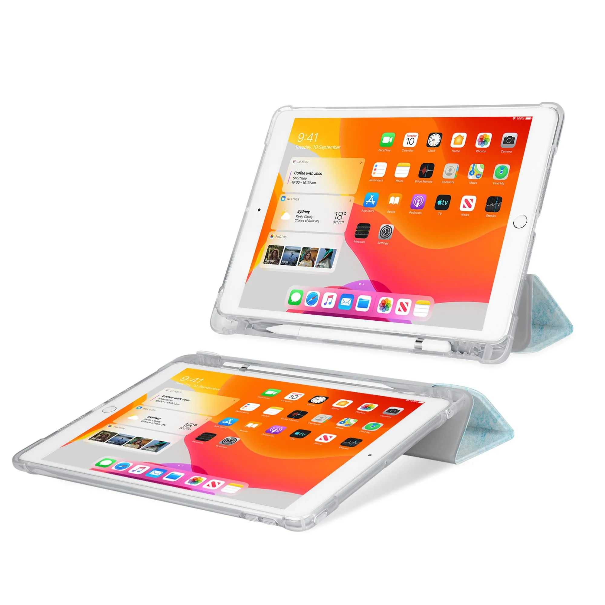 iPad SeeThru Case - Winter