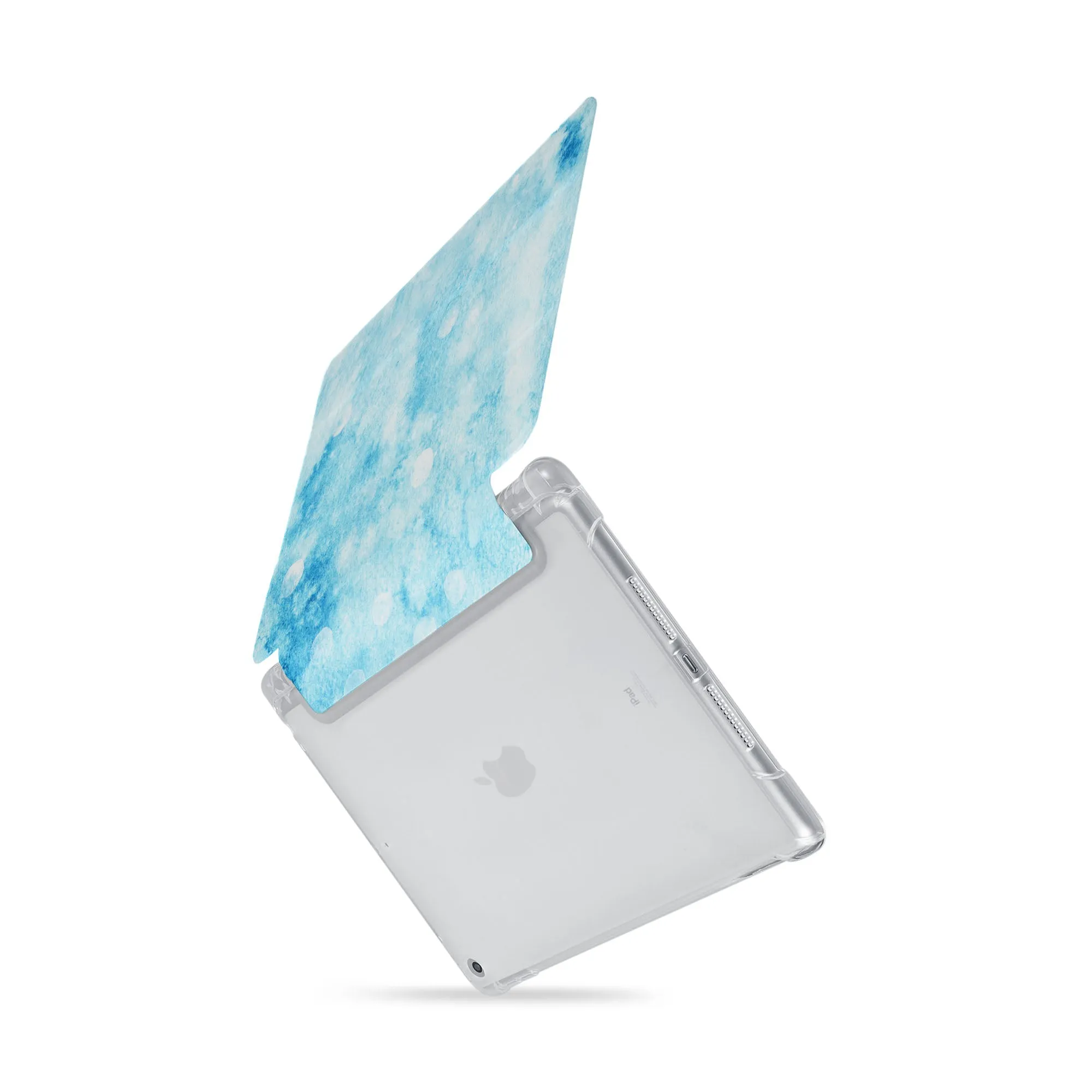 iPad SeeThru Case - Winter