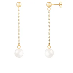 Splendid Pearls 14K Yellow Gold Diamond Earrings HOF-45WY