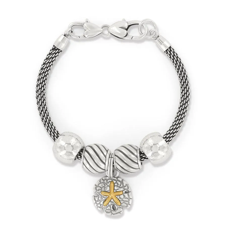Sunset Cove Sand Dollar Charm Bracelet